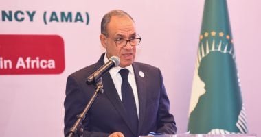 وزير الخارجية يشارك في مائدة حول التصنيع المحلي في أفريقيا