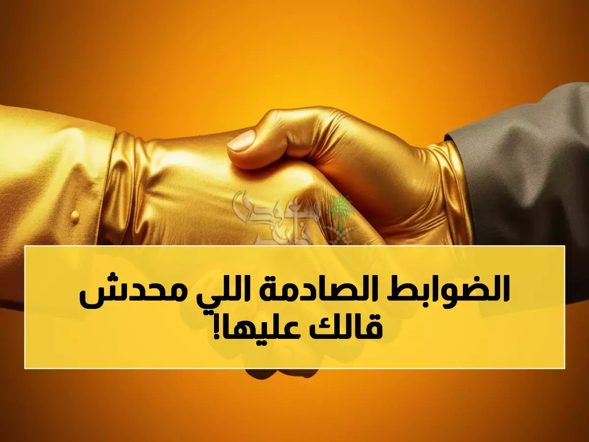  وزارة الموارد البشرية تكشف ضوابط برنامج المصافحة الذهبية 1447… حوافز مالية مجزية وشروط صادمة!