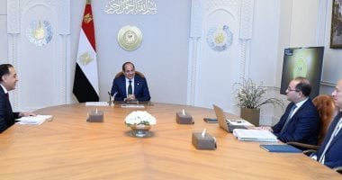 وزير المالية يستعرض أمام الرئيس السيسى تطورات المفاوضات مع صندوق النقد