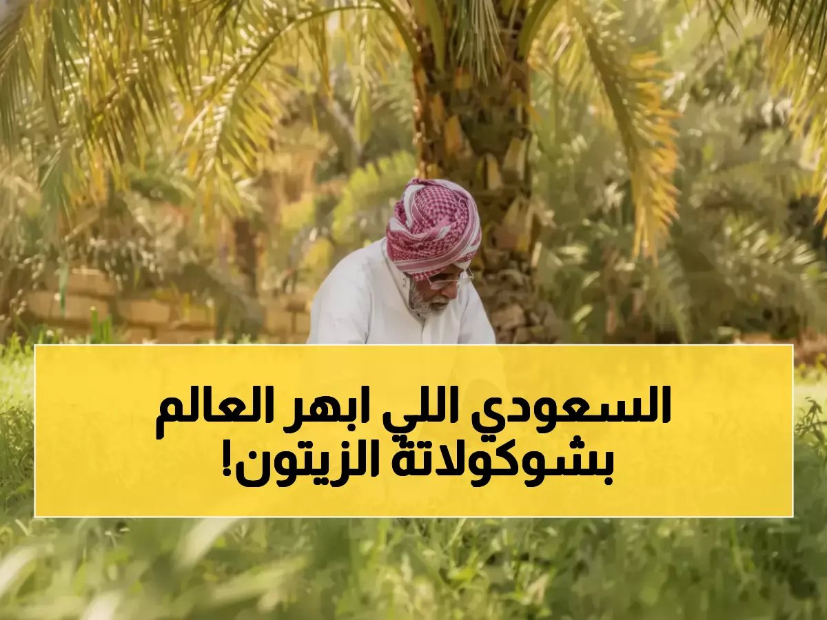 مزارع سعودي يكسر قواعد الشوكولاتة العالمية.. فراس الجابر حوّل 23 مليون شجرة زيتون لثورة طعم جديدة