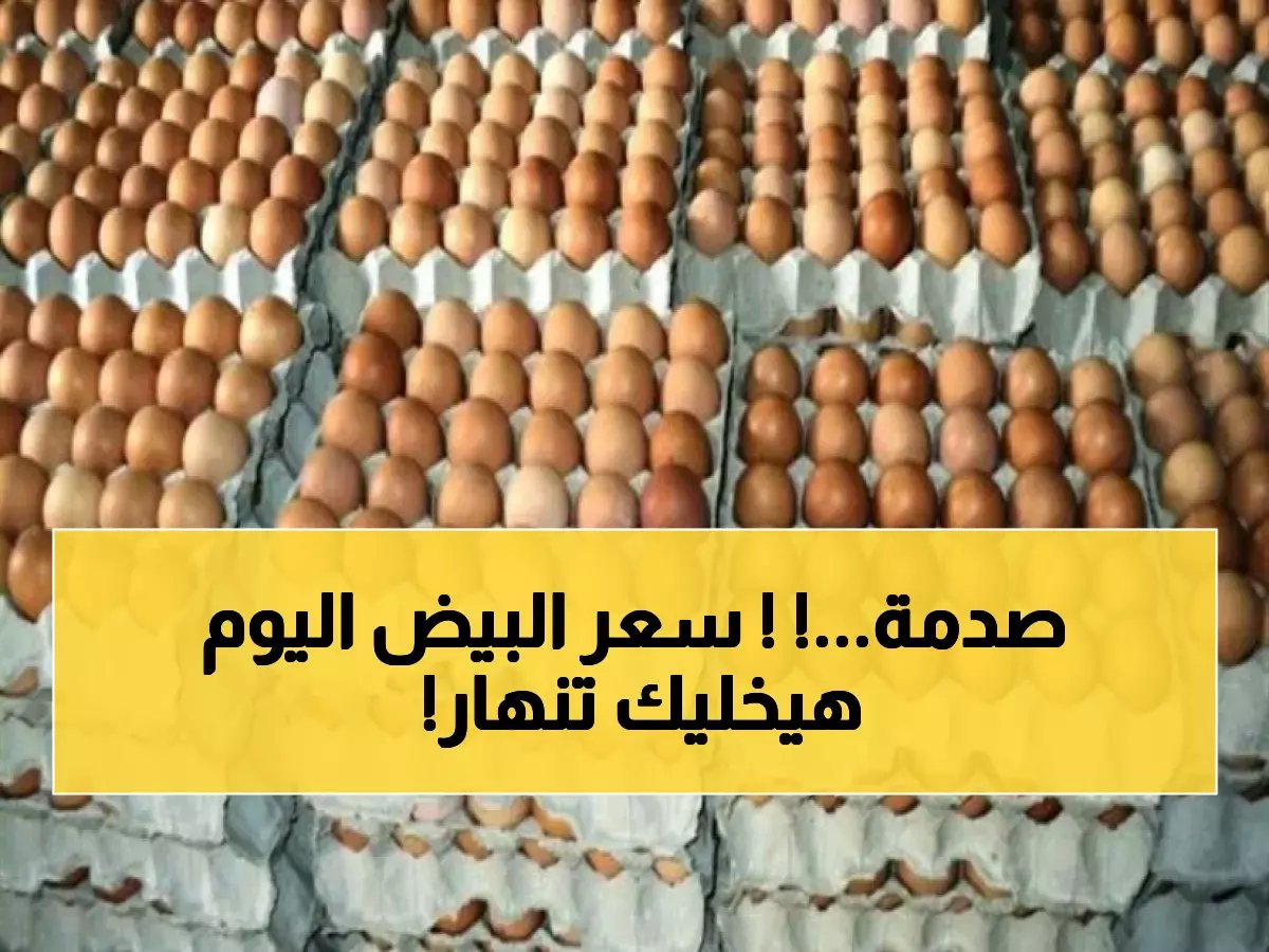  انفجار أسعار البيض في مصر... الكرتونة تصل 165 جنيه - صدمة للأسر المصرية!
