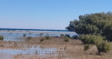 حصاد الوزارات.. القاهرة 30 درجة.. الأرصاد تكشف تغيرات مفاجئة بالحرارة × 48 ساعة