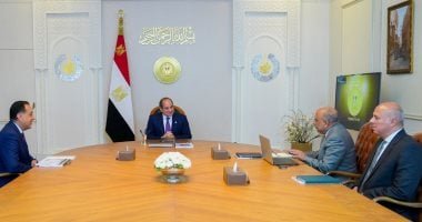 الرئيس السيسى يوجه بتوفير احتياجات القطاعات الإنتاجية والخدمية من الطاقة