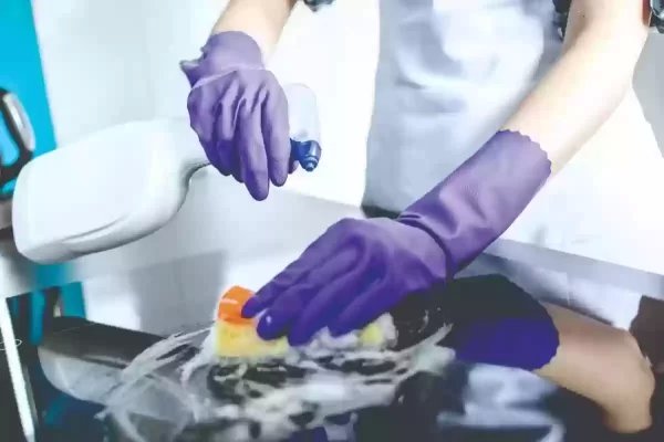 ضوابط العلاقة التعاقدية للعمالة المنزلية