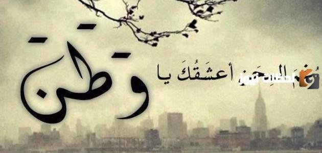 اقتباسات عن الوطن 1447 اجمل اقتباسات عن اليوم الوطني السعودي 93 – 2026