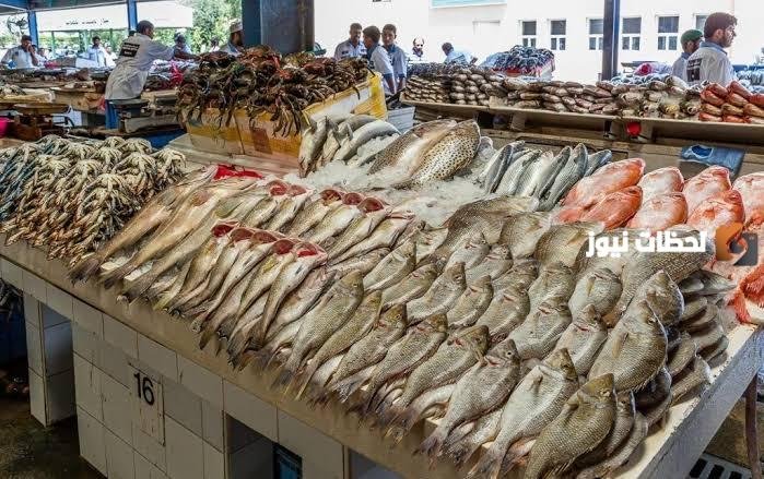 أسعار الأسماك في السعودية اليوم 2 سبتمبر 2026.. قائمة الحبار والروبيان السلطعون