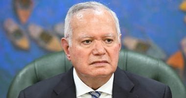 العرابى: التحرك المصرى عربيا وإفريقيا يعكس رؤية استراتيجية للحفاظ على المؤسسات