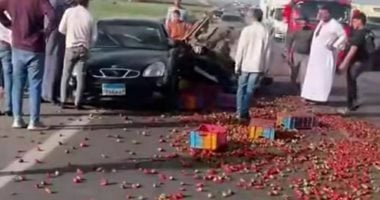 إعادة حركة المرور على طريق شبرا بنها الحر بعد انقلاب سيارة نقل محملة بالفراولة