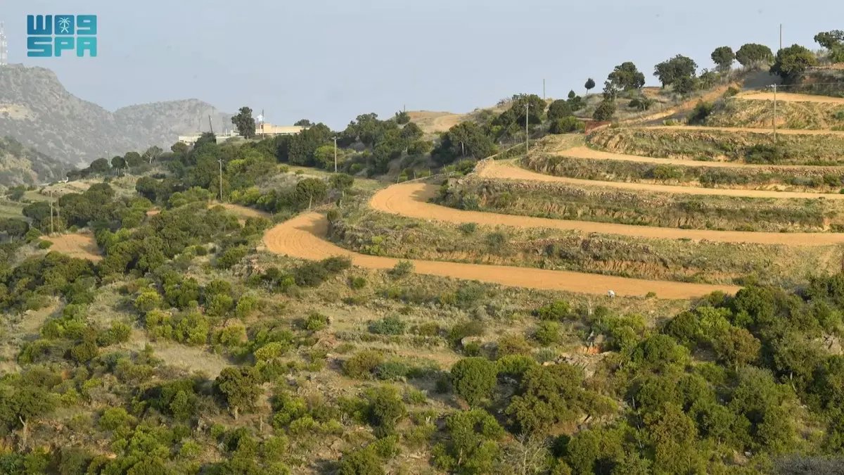 عاجل: خبير المناخ يكشف دخول "عقرب السم" اليوم... ماذا يعني لطقس السعودية خلال 13 يوماً؟