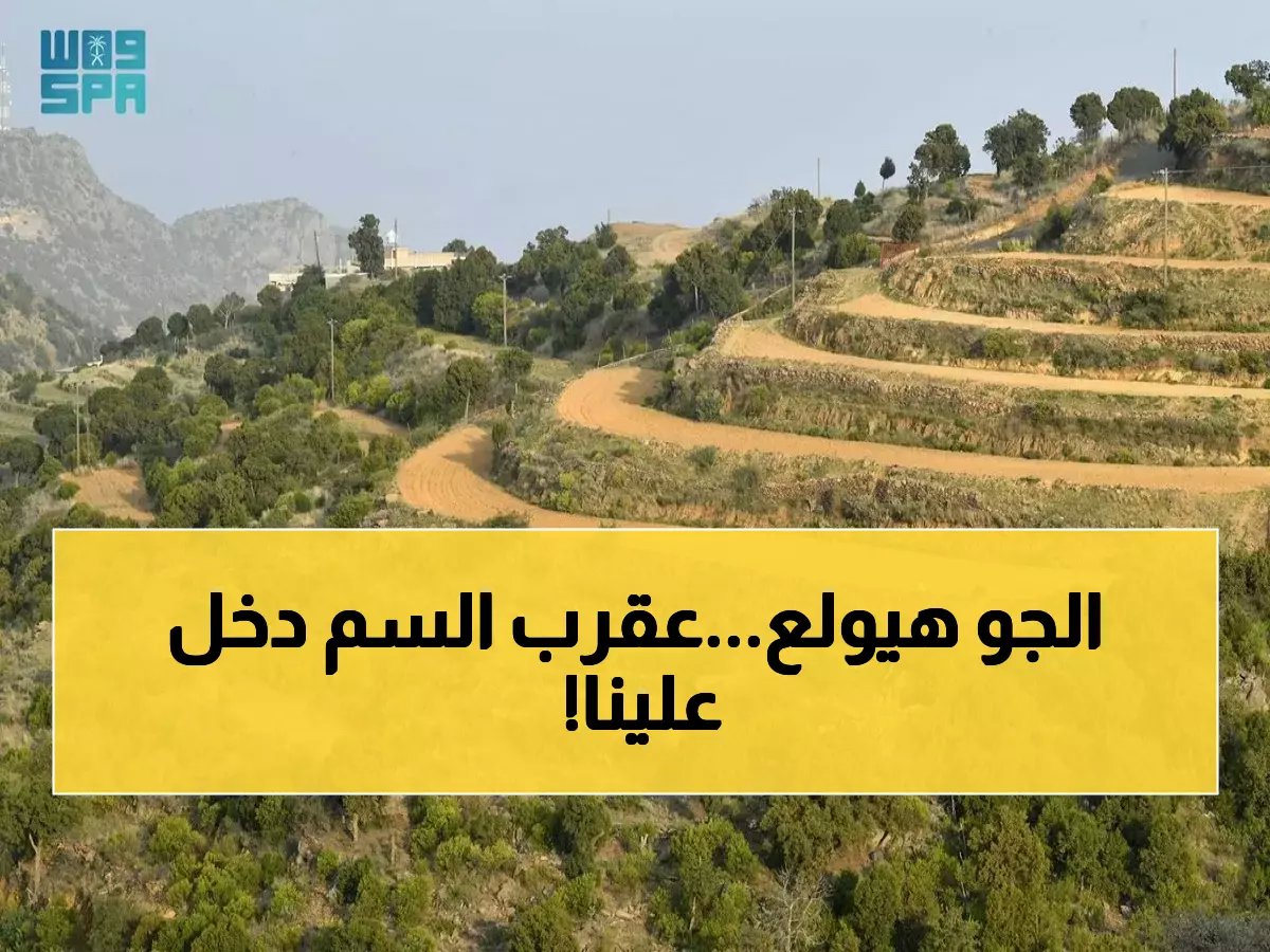  خبير المناخ يكشف دخول "عقرب السم" اليوم... ماذا يعني لطقس السعودية خلال 13 يوماً؟