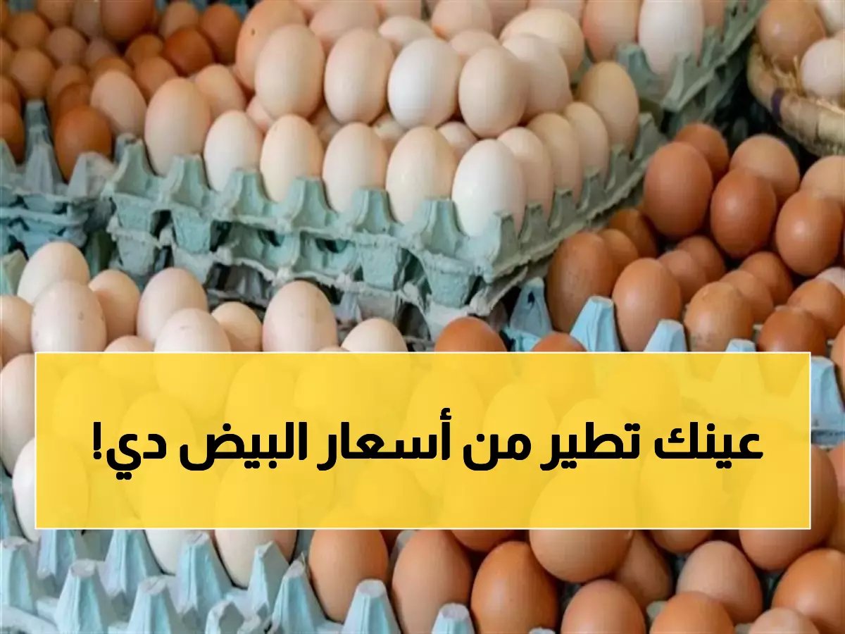  أسعار البيض قبل رمضان… صدمة في الأسواق! البيض البلدي يقفز لـ165 جنيهاً والأبيض يستقر عند 118.