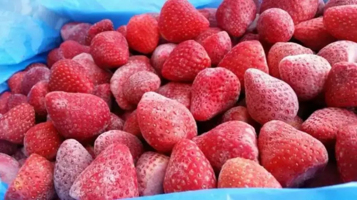 عاجل: مصر تحطم الأرقام القياسية… الفراولة المصرية تغزو العالم بـ 697 مليون دولار!