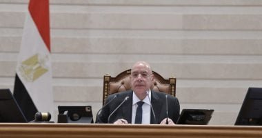 مجلس النواب يوافق فى المجموع على تعديل قانون سجل المستوردين