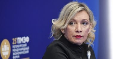 روسيا: موقف موسكو بشأن الدعوة إلى مجلس السلام قيد الدراسة