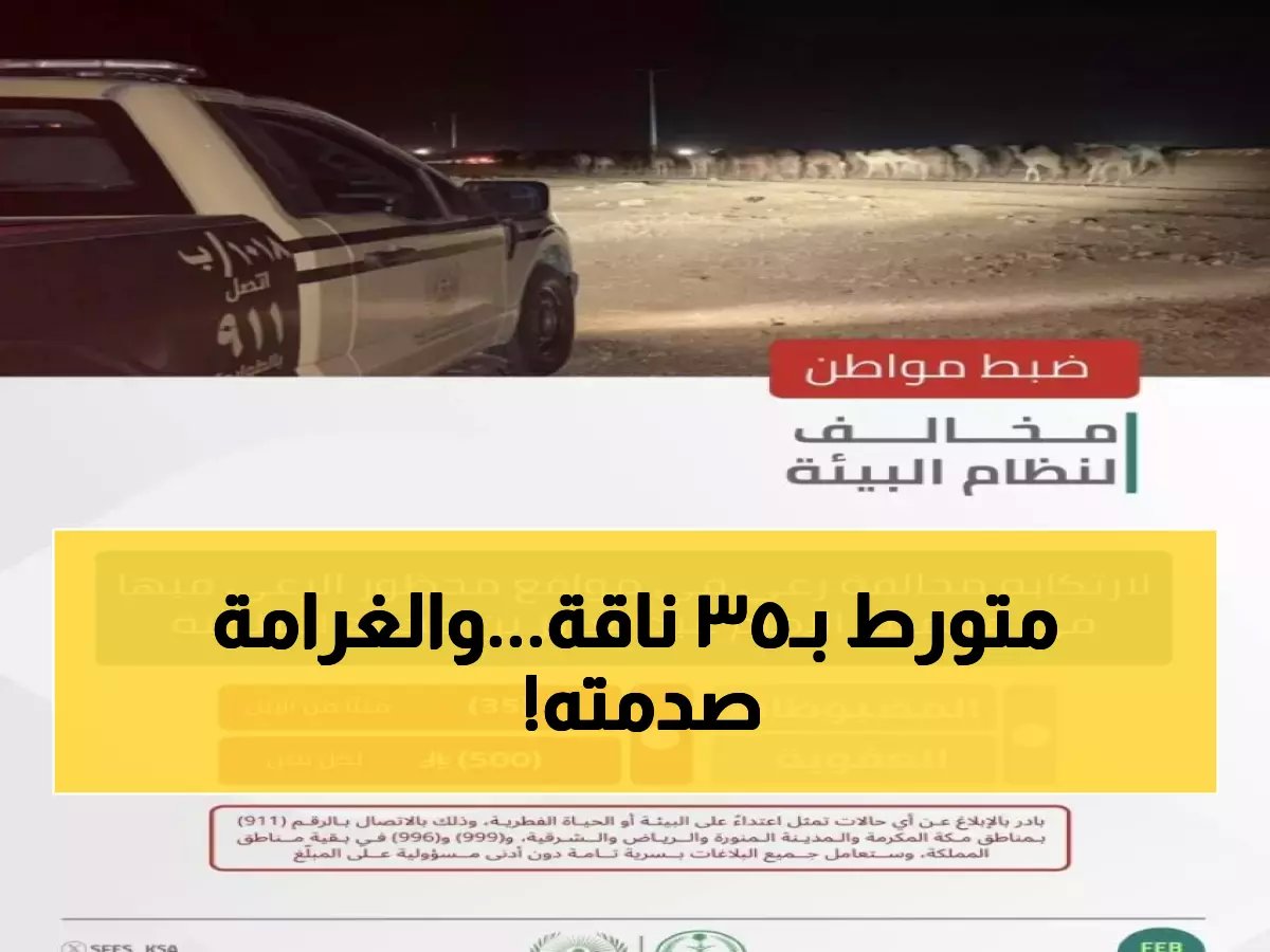  الأمن البيئي يضبط مواطناً برعي 35 ناقة في محمية ملكية... غرامة 17500 ريال صادمة!