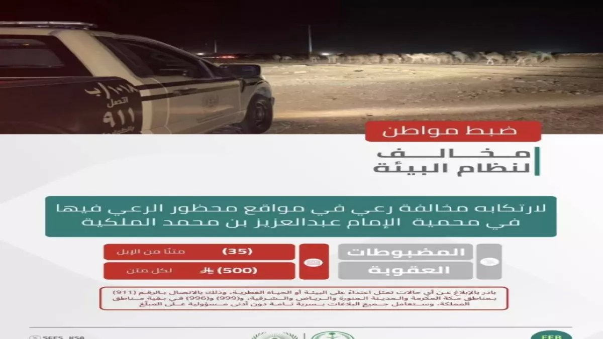 عاجل: الأمن البيئي يضبط مواطناً برعي 35 ناقة في محمية ملكية... غرامة 17500 ريال صادمة!
