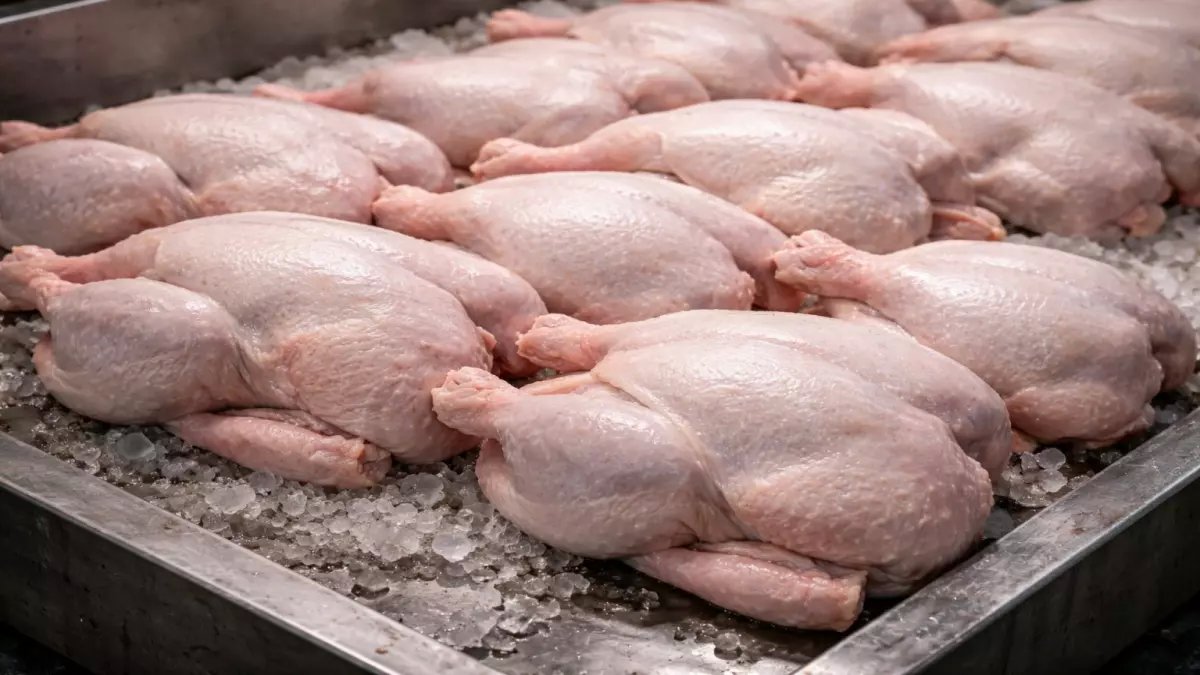 عاجل: انهيار أسعار البانيه قبل رمضان... الكيلو بـ 240 جنيه والخبراء يتوقعون المفاجأة!