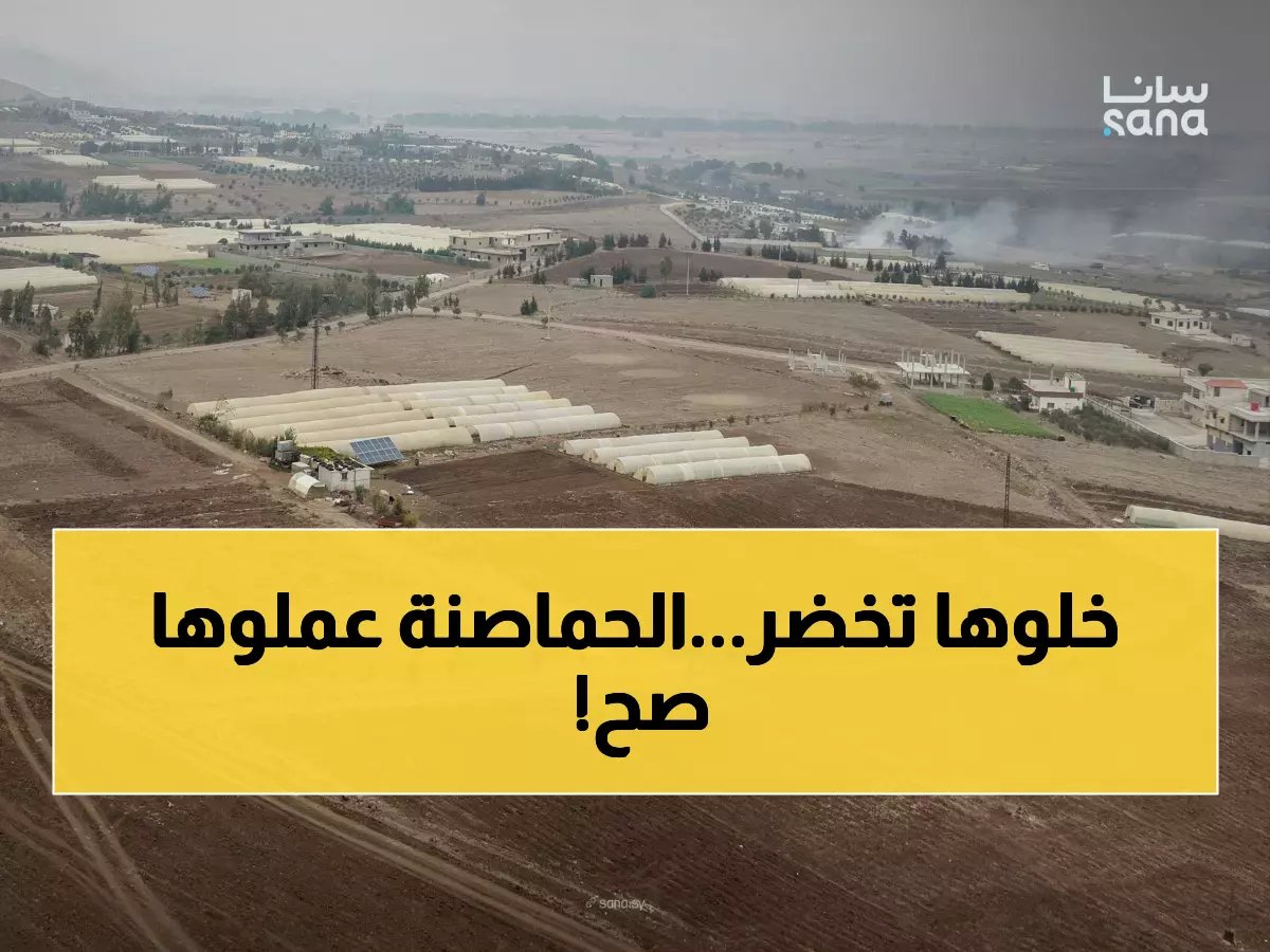  حمص تحقق إنجازاً زراعياً مذهلاً بنسبة 92%... والدواجن والخيول في حالة ممتازة!