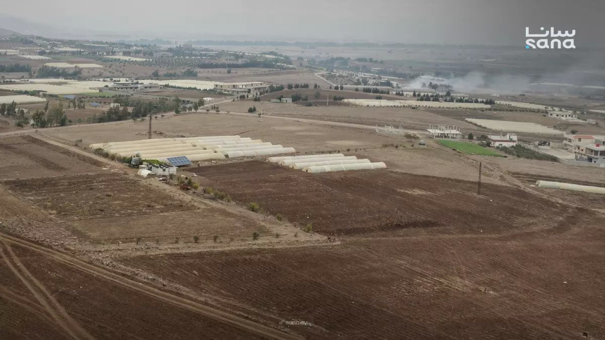 عاجل: حمص تحقق إنجازاً زراعياً مذهلاً بنسبة 92%... والدواجن والخيول في حالة ممتازة!