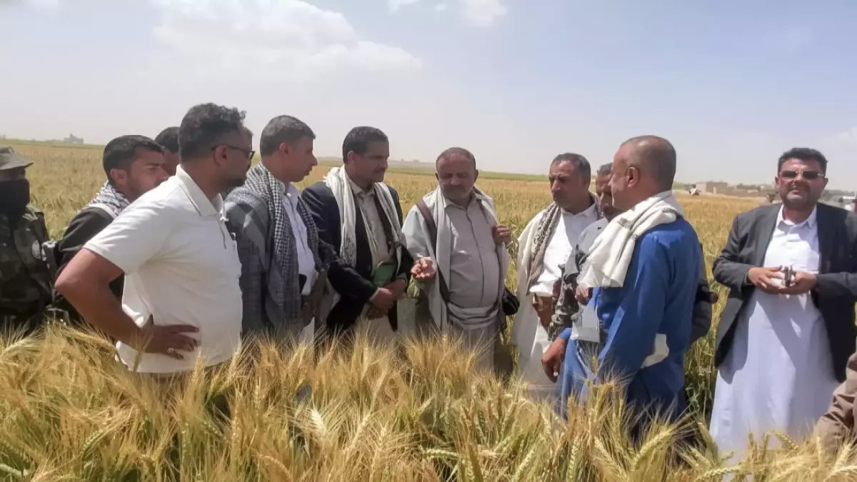 ماذا لو كانت أغلى سلعة نستوردها مخبأة في أرض ريمة منذ عقود؟.. الكشف عن 100% نمو مثالي يغير المعادلة