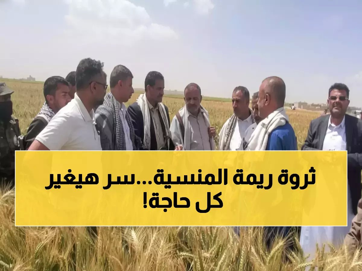 ماذا لو كانت أغلى سلعة نستوردها مخبأة في أرض ريمة منذ عقود؟.. الكشف عن 100% نمو مثالي يغير المعادلة