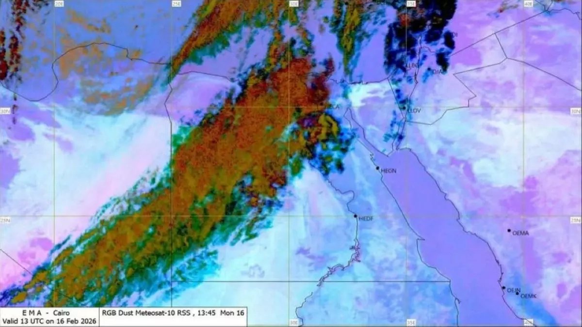 عاجل: موجة برد قارس تضرب مصر السبت... شبورة خطيرة من الفجر حتى 9 صباحاً تشل حركة المرور!