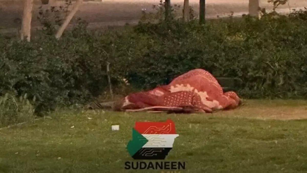 عاجل: شاب سوداني يرفض المساعدة ويفضل افتراش الشارع… السبب صادم!