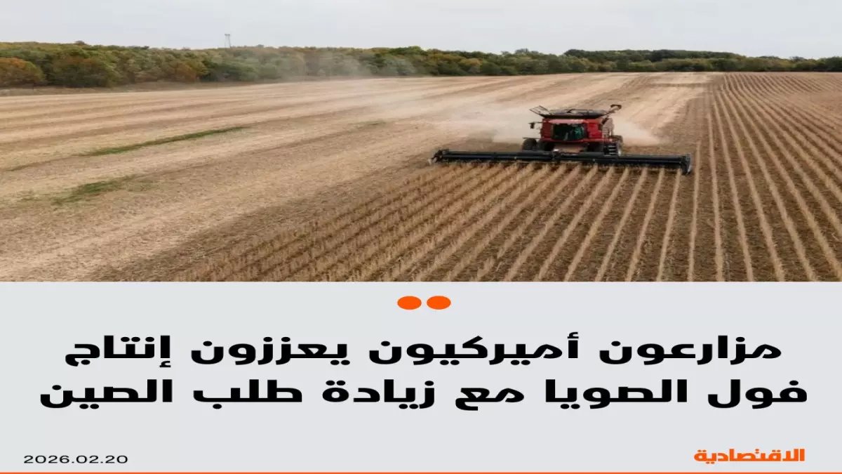 عاجل: استيراد يلامس نصف مليار دولار.. السعودية أمام فرصة ذهبية لتحقيق الاكتفاء الذاتي من فول الصويا!