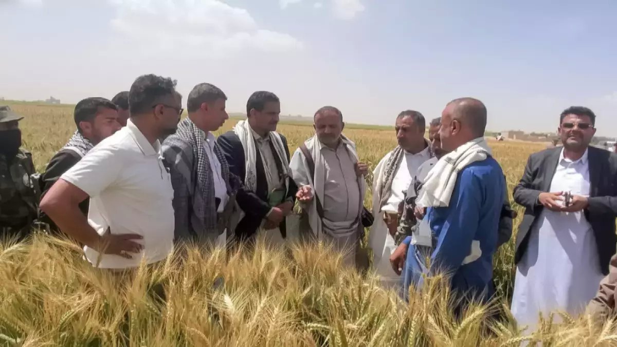 ما هي 'الضريبة الخفية' التي يدفعها كل يمني؟.. أحمد السنيدار يثبت أن الجودة المحلية تفوق المستورد بنسبة 100%