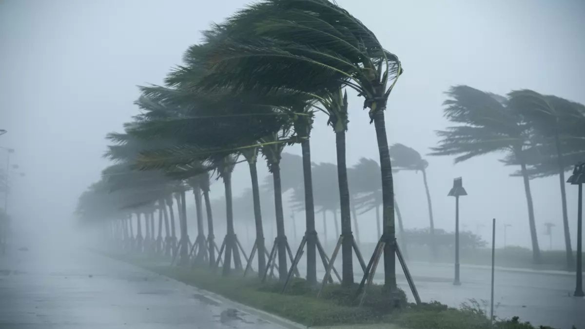 عاجل: المركز الوطني للأرصاد يحذر من عاصفة ترابية تضرب 7 مناطق سعودية.. هل أنت في المنطقة الخطرة؟