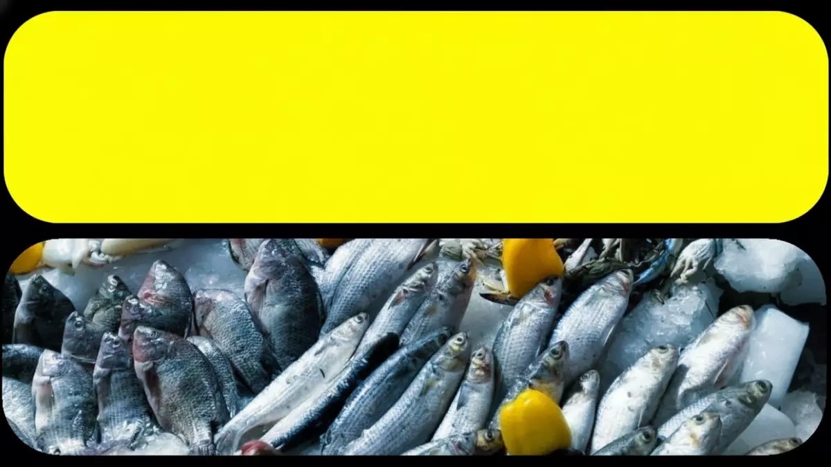 صادم: انفجار في أسعار البلطي والفيليه يهدد جيوب المصريين… ما هي الأصناف المسعرة اليوم؟