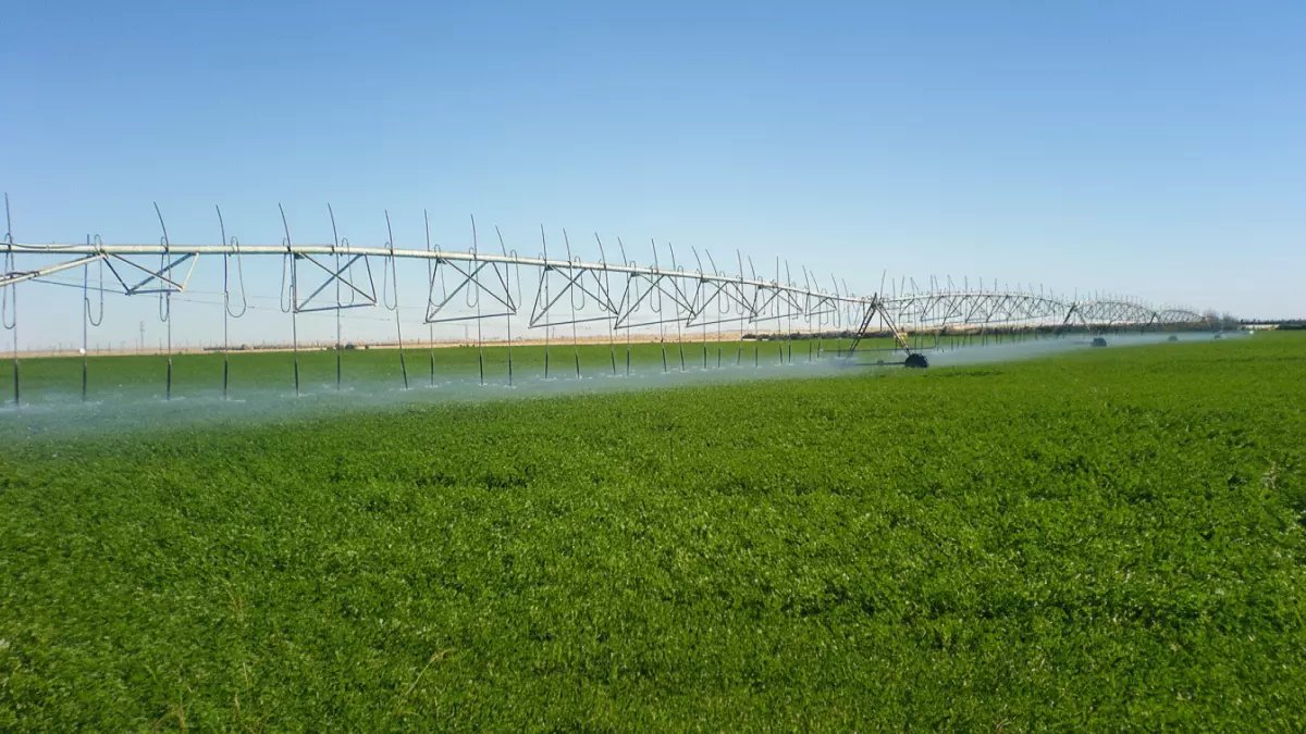 عاجل: الجزائر تحقق انتصاراً اقتصادياً مدوياً... توفر مليارات الدولارات وتكسر احتكار أمريكا!