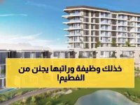  راتب خيالي في مجموعة الفطيم مسقط - مساعد مدير براتب 500% أعلى من المعدل!