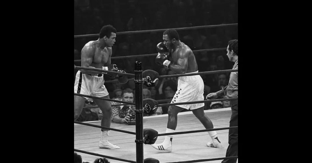 محمد علي ضد جو فريزر