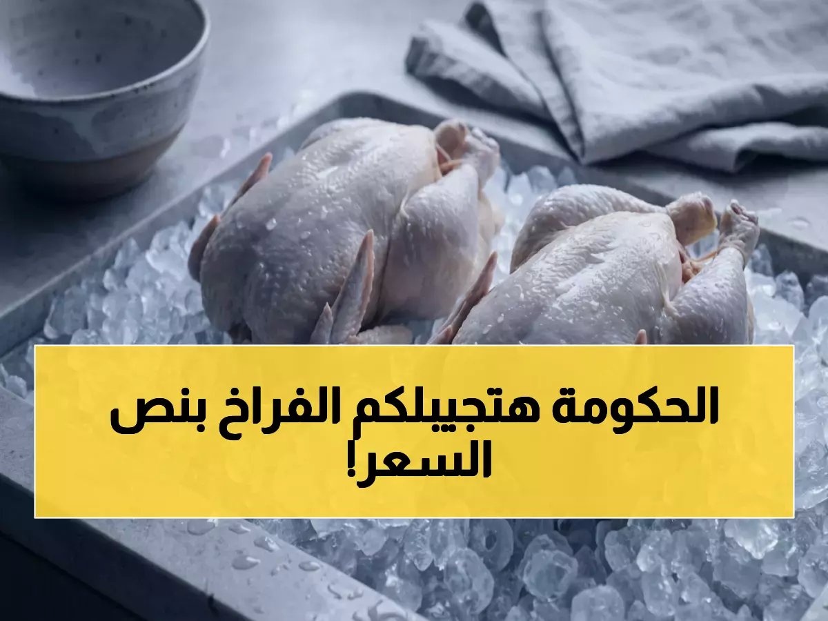  الدولة تتدخل لكسر احتكار الدواجن... الفراخ بـ90 جنيه فقط والأسعار العادية تصل 137 جنيهًا!