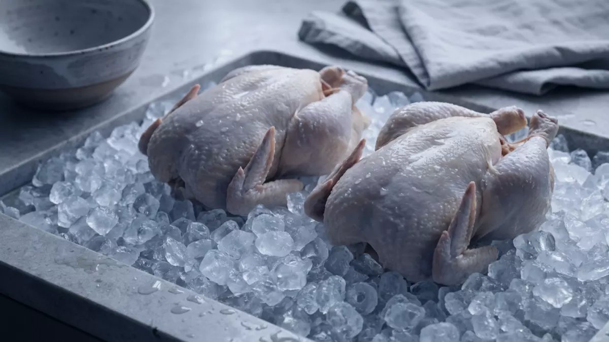 عاجل: الدولة تتدخل لكسر احتكار الدواجن... الفراخ بـ90 جنيه فقط والأسعار العادية تصل 137 جنيهًا!