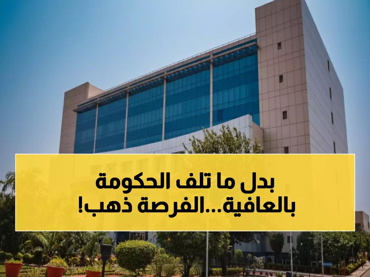  فرصة نادرة في عُمان.. ديسموس تعلن عن وظيفتين قياديتين في مشروع ثقافي ضخم بمسقط - التقديم فوري!