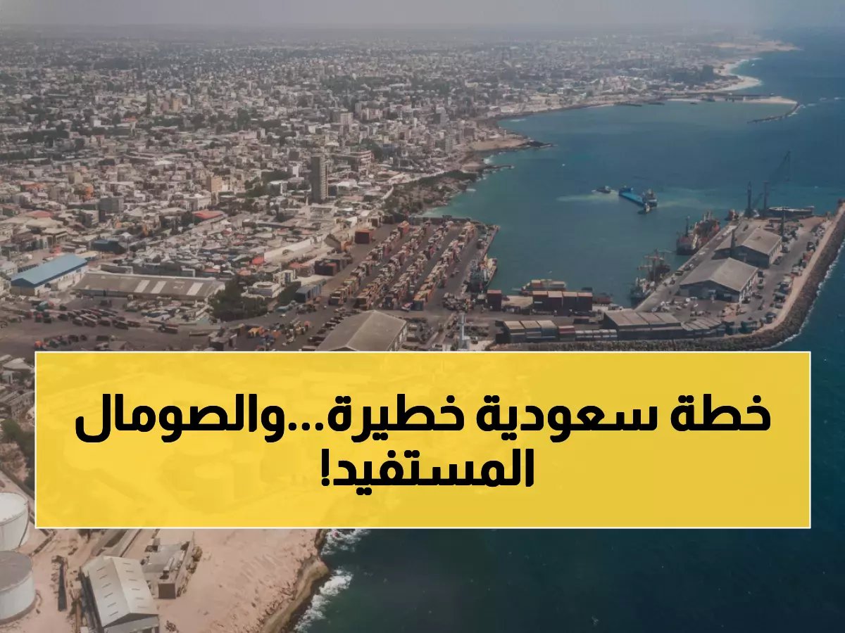  السعودية تفتح الممرات البحرية مع الصومال... خطة استراتيجية تغير خريطة التجارة الإقليمية!