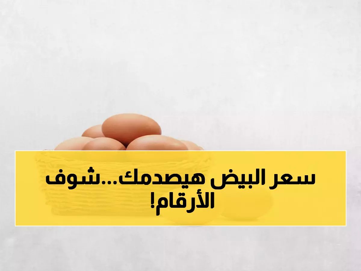  خريطة أسعار البيض اليوم تثير صدمة.. البلدي يصل لـ165 جنيهاً والأبيض يرتفع في التجزئة!