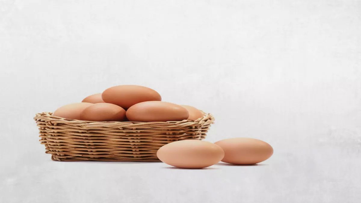 عاجل: خريطة أسعار البيض اليوم تثير صدمة.. البلدي يصل لـ165 جنيهاً والأبيض يرتفع في التجزئة!