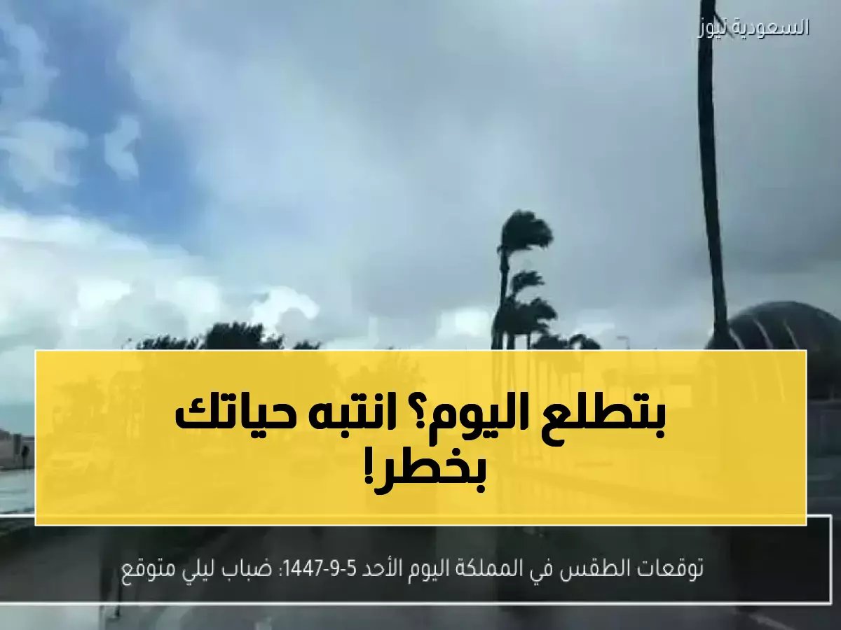  الأرصاد تحذر من ضباب ليلي كثيف وعواصف ترابية تضرب 6 مناطق بالمملكة اليوم!