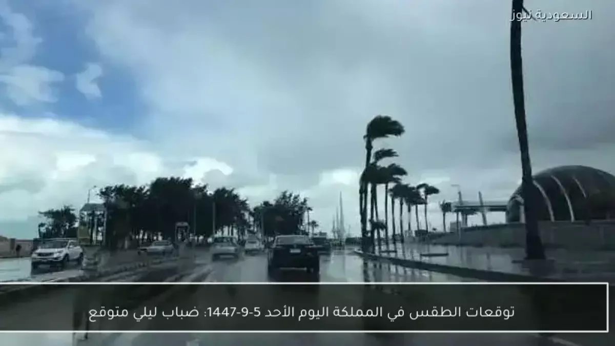 عاجل: الأرصاد تحذر من ضباب ليلي كثيف وعواصف ترابية تضرب 6 مناطق بالمملكة اليوم!