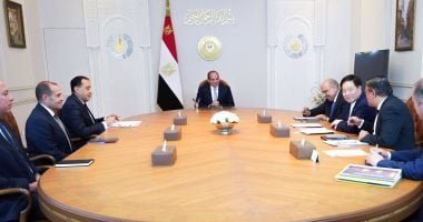 الرئيس السيسى يستقبل رئيس مجلس إدارة شركة GCL الصينية