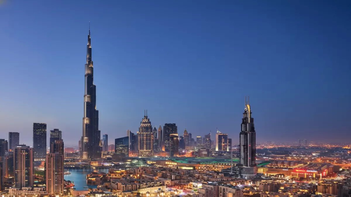 حصري: البابونج المصري يتصدر العالم.. خطة سرية لتحويل 250 ألف فدان إلى "ذهب أخضر" خلال سنوات!