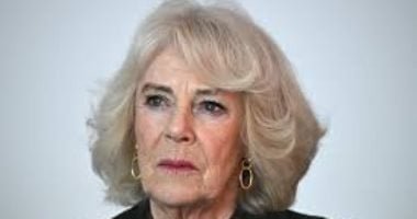 الملكة كاميلا تلتقى الدب بادينجتون لأول مرة.. ماذا حدث؟