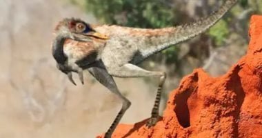 أقل من وزن الدجاجة.. الأرجنتين تكتشف أحفور لأصغر أنواع الديناصورات