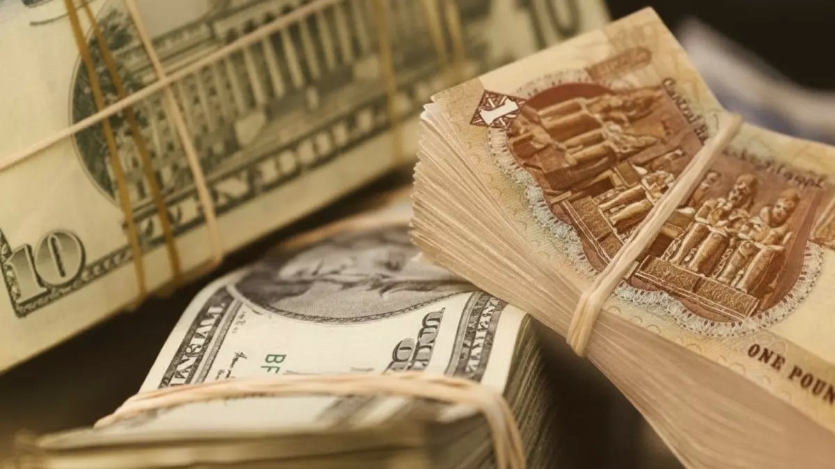 عاجل | انهيار مفاجئ في سعر الدولار بالبنوك المصرية.. يتراجع 48 قرشاً دفعة واحدة والمواطنون في حالة ترقب!