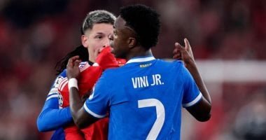 بنفيكا ينفى اعتراف لاعبه بتوجيه عبارات عنصرية ضد فينيسيوس جونيور