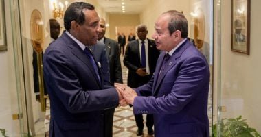 كامل إدريس بعد لقاء الرئيس السيسي: شراكتنا مع مصر ركيزة للأمن والازدهار