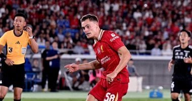 غياب فريتز ومشاركة فريمبونج في تدريبات ليفربول